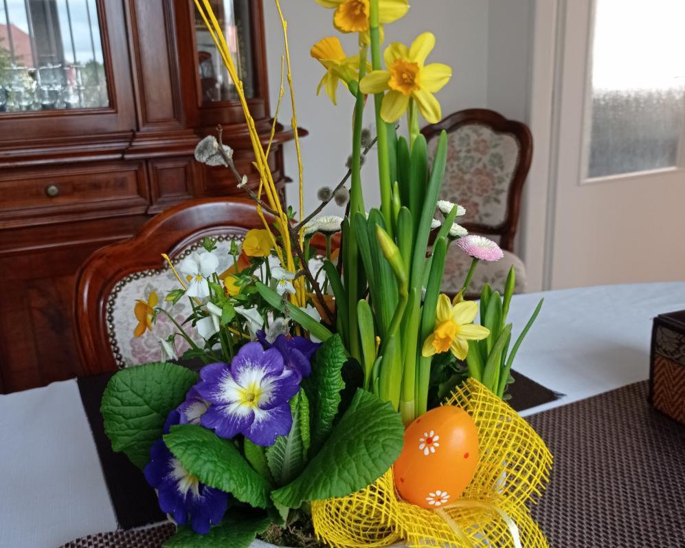 Jarní probuzení a vaše finance: S novou energií k jistější budoucnosti